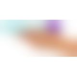 bunt.double vibrator