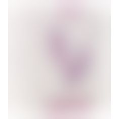 Erica Panty-Vibrator