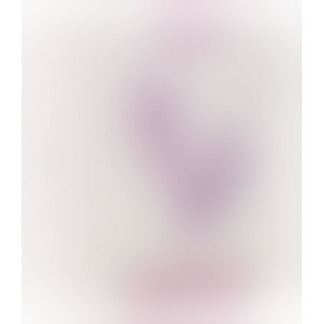 Erica Panty-Vibrator