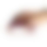 Вібратор на палець Climaximum Coax