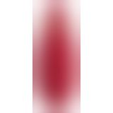 Вакуумный клиторальный стимулятор Womanizer Premium Red