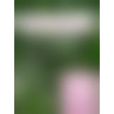 Возбуждающий гель для женщин Viamax Sensitive gel 2 мл.