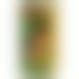 Краплі - Guarana ZN Special, 100 мл