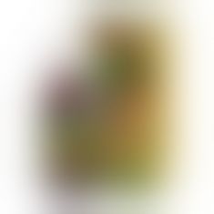 Краплі - Guarana ZN Special, 100 мл