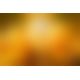 Смоктайзер для клитора Intt Suck My Clit Tropical Mango (15 мл), манго, гель с эффектом посасывания