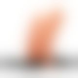 Страпон Ff Vibr Double Penetrator Flesh, 17Х4, 5 см