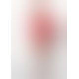 Пеньюар "KIMONO & THONG", XXL/XXXL