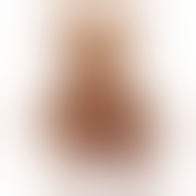 Плюшевый медведь