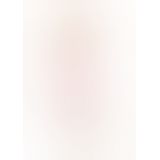 Набор Bunny 