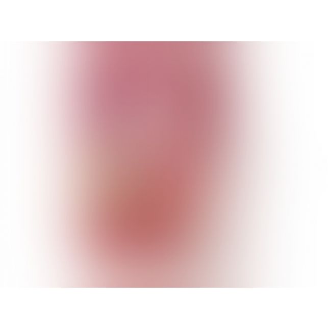 НАБОР СКУЛЬПТОРА для создания копии своего члена НАБОР СКУЛЬПТОРА для создания копии своего члена