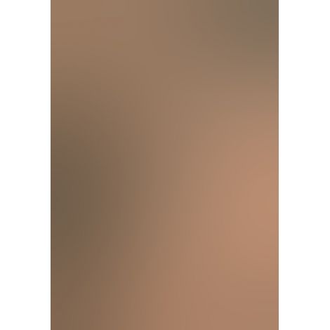 Боді