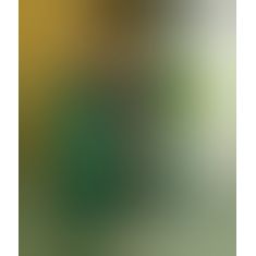 Пеньюар і стрінги