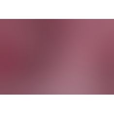Ошейники для ежедневного ношения