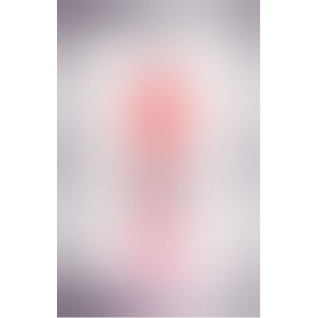 Вибратор Evolved Botttle Rocket Red