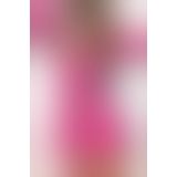 Еротична сукня з рукавами Anais Xenia 