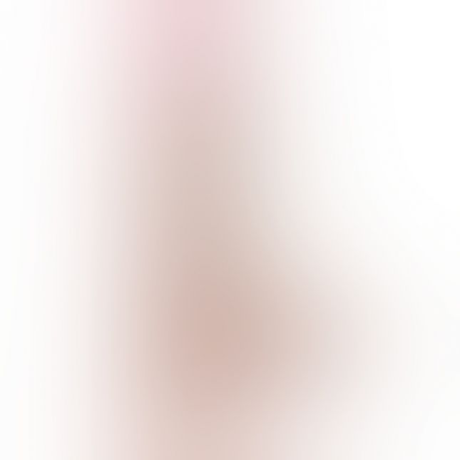 Вибратор The Realistic Cock, 23,6х5 см