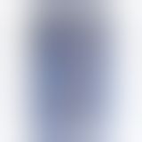 Вибратор The Realistic Cock, 23,6х5 см