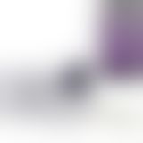 Вибратор для двоих We-Vibe 4 Plus