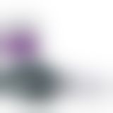 Вибратор для двоих We-Vibe 4 Plus