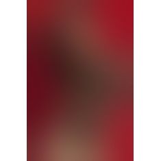 Напівпрозоре боді "Teddy"