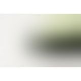 Вібромасажер Iroha Midori Green