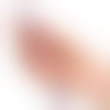 Фалоімітатор Glas Purple Rose Nubby Glass Dildo