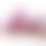 Вибратор LoveBuddies Elephant Вибратор LoveBuddies Elephant