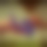 Безремневой страпон Fun Factory Sharevibe, 12,2х2 см Безремневой страпон Fun Factory Sharevibe, 12,2х2 см