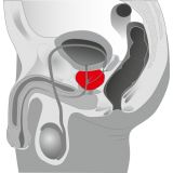 Массажер простаты - Ebony Prostate Massager