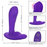 CalExotics Remote Pinpoint Pleaser - вібромасажер простати, 7,25х3, 25 см