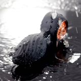 Анальна пробка - Aisi Twisting Anal Plug