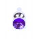 Анальна пробка - Jewellery Silver Long Plug Purple