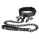 Нашийник - STEAMY SHADES Collar with Leash and Nipple Clamps