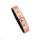 Ошейник с зажимами для сосков Liebe Seele Rose Gold Memory Collar with Nipple Clamps