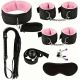 БДСМ набір - Hidden Desire Chest BDSM Kit 4.0