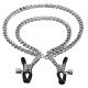 Зажимы для сосков - STEAMY SHADES Adjustable Double Chain Nipple Clamps