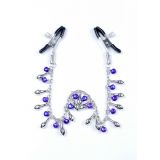 Затискачі для сосків - Exclusive Nipple Clamps No.2