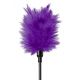 Набір Fetish Fantasy Purple Passion Kit