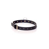 Ошейник - Fetish Boss Series Collar, 2 см