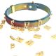 Ошейник LOCKINK Multi-color DIY Alphabet Collar