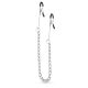 Затискачі для сосків - EasyToys Fetish Collection Long Nipple Clamps With Chain