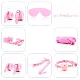 БДСМ набір - Hidden Desire Chest BDSM Kit 2.0