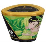 Масажна свічка - Shunga Massage Candle Green Tea, 170 мл