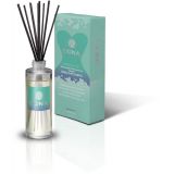 Ароматизатор повітря DONA Reed Diffusers Naughty (60 мл)