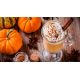 Распродажа! Лубрикант на водной основе System JO H2O - Pumpkin Spice (60 мл) (срок 01.05.2021)