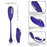 CalExotics Impulse EStim Remote Kegel Exerciser - віброяйце тренажер Кегеля