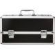 Кейс для хранения секс-игрушек BMS Factory - Large Lokable Vibrator Case Black