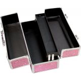 Кейс для хранения секс-игрушек BMS Factory - Large Lokable Vibrator Case Pink