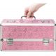 Кейс для хранения секс-игрушек BMS Factory - Large Lokable Vibrator Case Pink