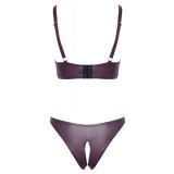 2214580 Bra and Briefs - purple {} M